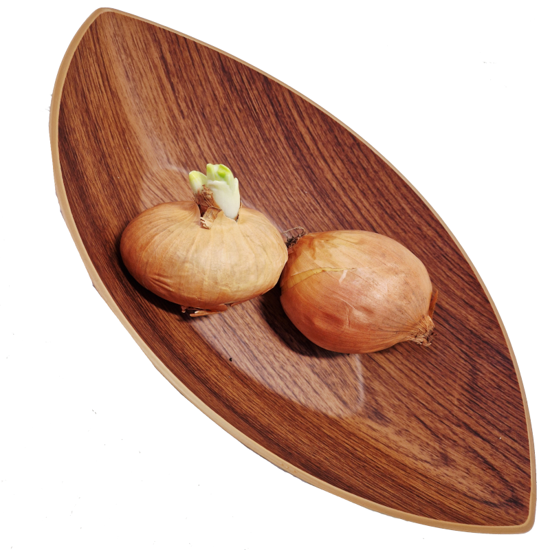 Zwiebeln